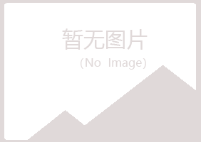 阿城从寒律师有限公司